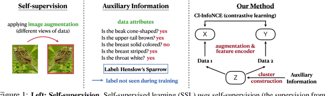 Figure 1 for Learning Weakly-Supervised Contrastive Representations