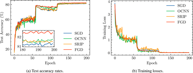 Figure 3 for Feedback Gradient Descent: Efficient and Stable Optimization with Orthogonality for DNNs