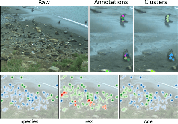 Figure 1 for Fine-Grained Counting with Crowd-Sourced Supervision