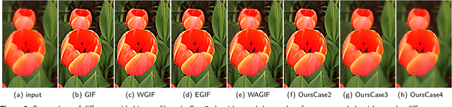Figure 4 for Adaptive Weighted Guided Image Filtering for Depth Enhancement in Shape-From-Focus