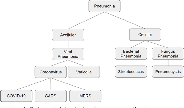 Figure 1 for COVID-19 identification in chest X-ray images on flat and hierarchical classification scenarios