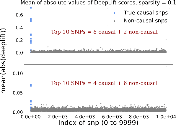 Figure 2 for Deep interpretability for GWAS