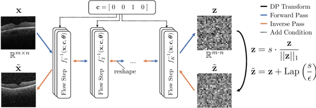 Figure 3 for Content-Aware Differential Privacy with Conditional Invertible Neural Networks