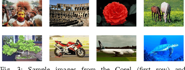 Figure 3 for An empirical study on the effects of different types of noise in image classification tasks