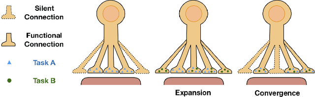 Figure 1 for AFEC: Active Forgetting of Negative Transfer in Continual Learning