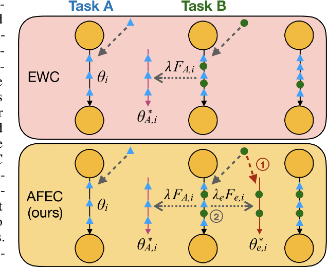 Figure 3 for AFEC: Active Forgetting of Negative Transfer in Continual Learning