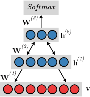 Figure 1 for Intestinal Parasites Classification Using Deep Belief Networks