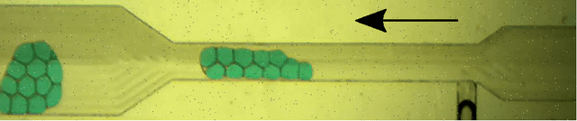 Figure 1 for DropTrack -- automatic droplet tracking using deep learning for microfluidic applications