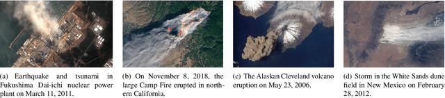 Figure 1 for Learning Physics through Images: An Application to Wind-Driven Spatial Patterns