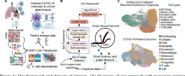 Figure 1 for Self-supervised edge features for improved Graph Neural Network training