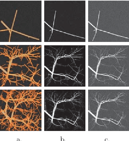 Figure 3 for Curvilinear Structure Enhancement by Multiscale Top-Hat Tensor in 2D/3D Images