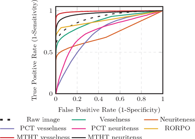 Figure 4 for Curvilinear Structure Enhancement by Multiscale Top-Hat Tensor in 2D/3D Images