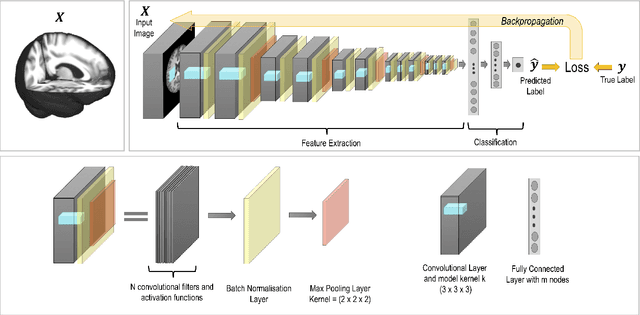 Figure 1 for Challenges for machine learning in clinical translation of big data imaging studies