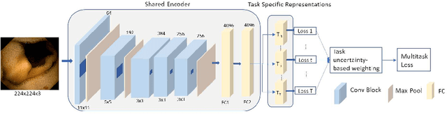 Figure 1 for Learning More for Free - A Multi Task Learning Approach for Improved Pathology Classification in Capsule Endoscopy