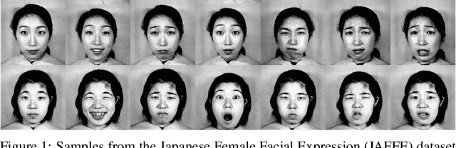 Figure 1 for How to read faces without looking at them