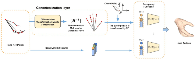 Figure 4 for A Skeleton-Driven Neural Occupancy Representation for Articulated Hands