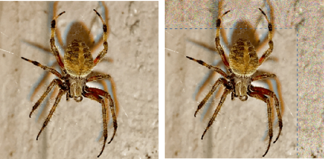 Figure 4 for Clipping free attacks against artificial neural networks