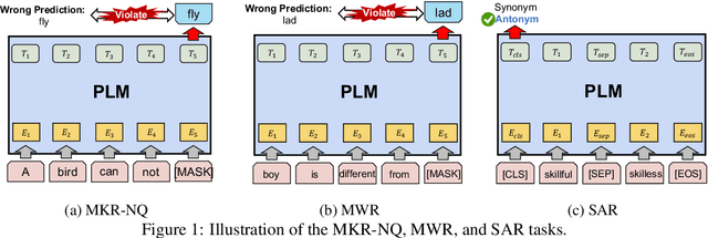 Figure 1 for Beyond Distributional Hypothesis: Let Language Models Learn Meaning-Text Correspondence
