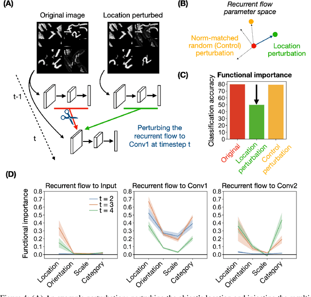 Figure 4 for Category-orthogonal object features guide information processing in recurrent neural networks trained for object categorization