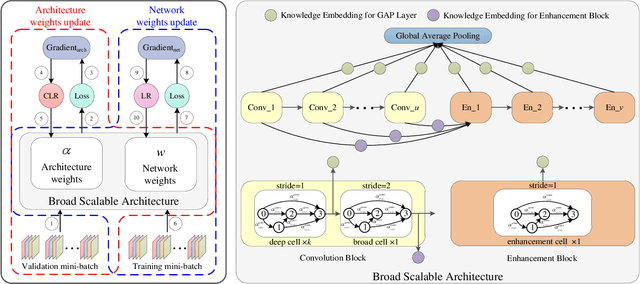 Figure 1 for Faster Gradient-based NAS Pipeline Combining Broad Scalable Architecture with Confident Learning Rate