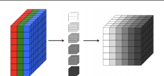 Figure 2 for Visual Explanation for Identification of the Brain Bases for Dyslexia on fMRI Data