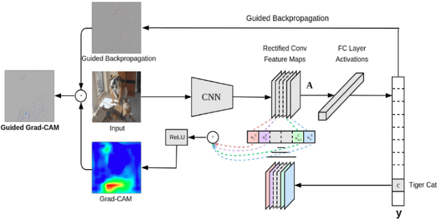 Figure 3 for Visual Explanation for Identification of the Brain Bases for Dyslexia on fMRI Data