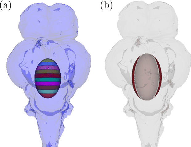 Figure 3 for Longitudinal Support Vector Machines for High Dimensional Time Series