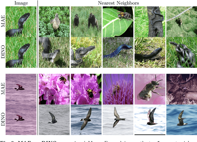 Figure 3 for Anomaly Detection Requires Better Representations