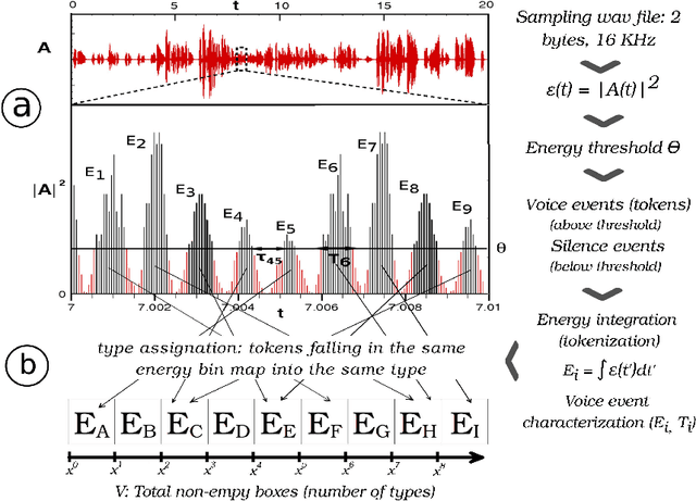 Figure 1 for Emergence of linguistic laws in human voice