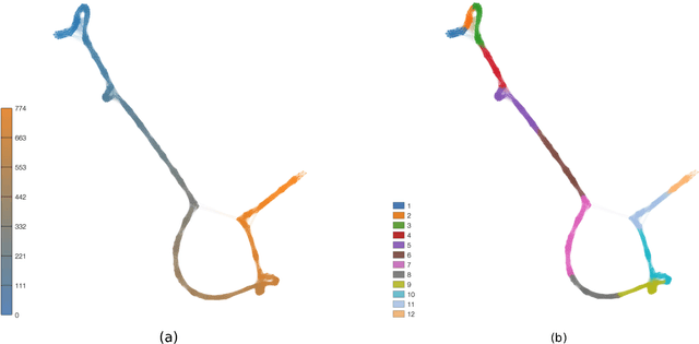 Figure 2 for Representation of texts as complex networks: a mesoscopic approach