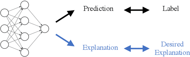 Figure 1 for Interpretations are useful: penalizing explanations to align neural networks with prior knowledge