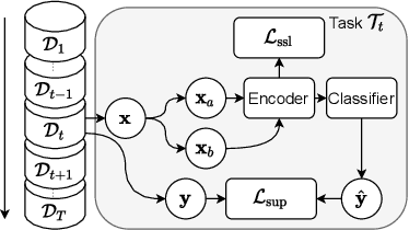 Figure 1 for Learning Representations for New Sound Classes With Continual Self-Supervised Learning