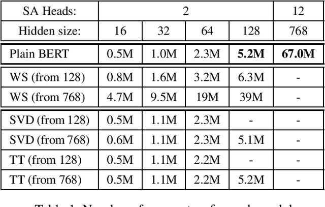 Figure 2 for Weight Squeezing: Reparameterization for Compression and Fast Inference