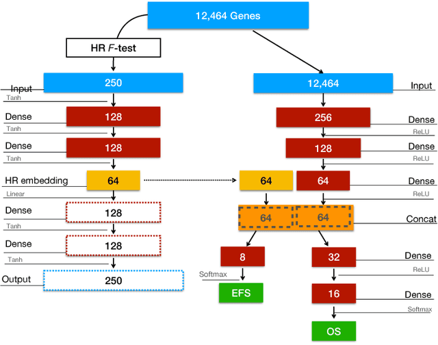 Figure 2 for A multiobjective deep learning approach for predictive classification in Neuroblastoma