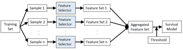 Figure 2 for Ensemble feature selection with clustering for analysis of high-dimensional, correlated clinical data in the search for Alzheimer's disease biomarkers