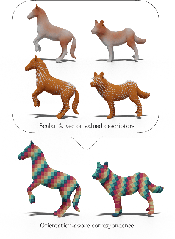 Figure 1 for Deep Orientation-Aware Functional Maps: Tackling Symmetry Issues in Shape Matching