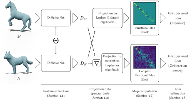 Figure 3 for Deep Orientation-Aware Functional Maps: Tackling Symmetry Issues in Shape Matching