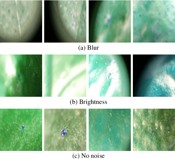 Figure 1 for Weakly Supervised Attention-based Models Using Activation Maps for Citrus Mite and Insect Pest Classification