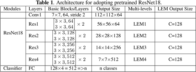 Figure 2 for Multi-level Texture Encoding and Representation (MuLTER) based on Deep Neural Networks