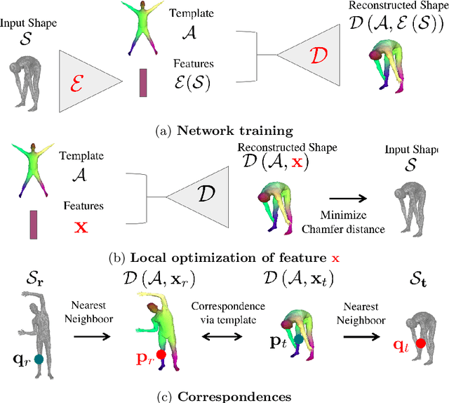 Figure 3 for 3D-CODED : 3D Correspondences by Deep Deformation