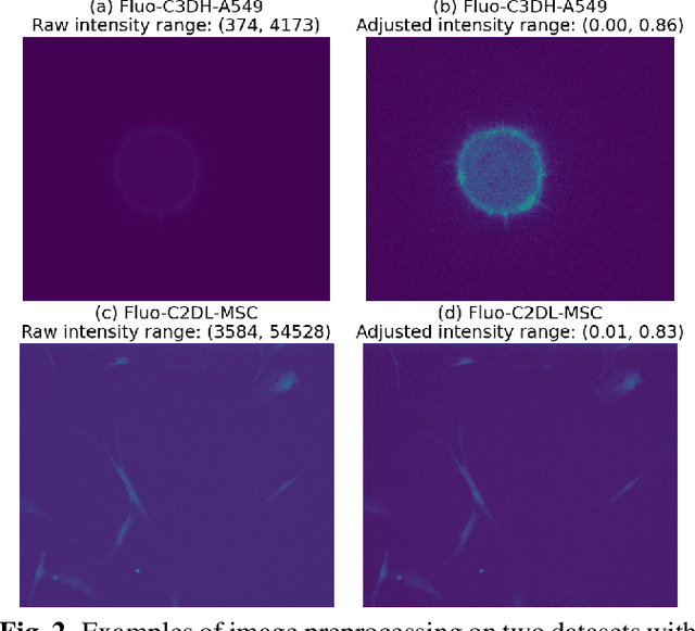Figure 3 for Training a universal instance segmentation network for live cell images of various cell types and imaging modalities