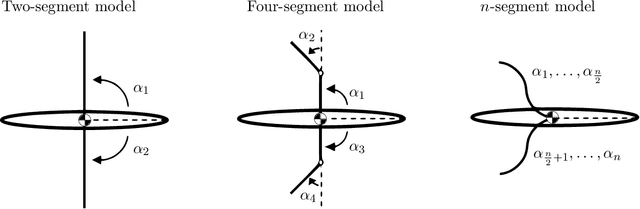 Figure 1 for Gait modeling and optimization for the perturbed Stokes regime