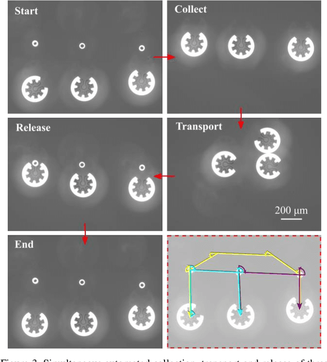 Figure 3 for Autonomous object harvesting using synchronized optoelectronic microrobots