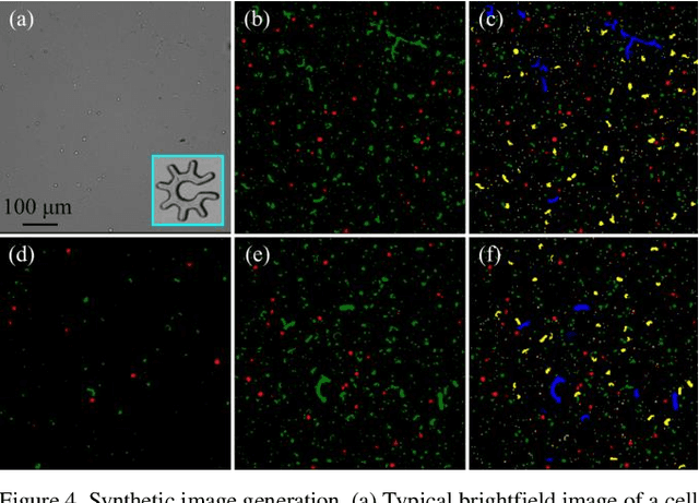 Figure 4 for Autonomous object harvesting using synchronized optoelectronic microrobots