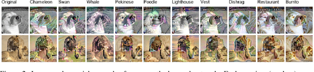 Figure 2 for Are Perceptually-Aligned Gradients a General Property of Robust Classifiers?