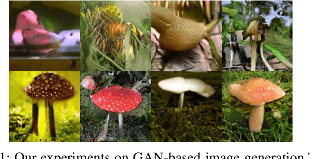 Figure 1 for Conditional Transferring Features: Scaling GANs to Thousands of Classes with 30% Less High-quality Data for Training