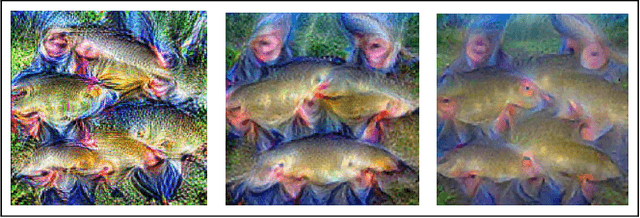 Figure 1 for Saliency-driven Class Impressions for Feature Visualization of Deep Neural Networks