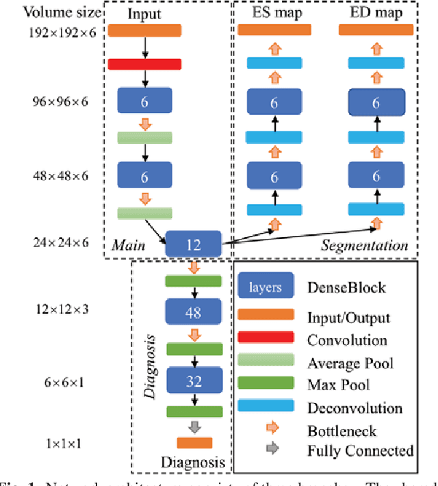 Figure 1 for End-to-End Diagnosis and Segmentation Learning from Cardiac Magnetic Resonance Imaging