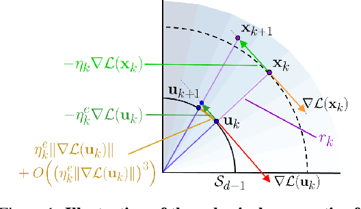 Figure 1 for Spherical Perspective on Learning with Batch Norm