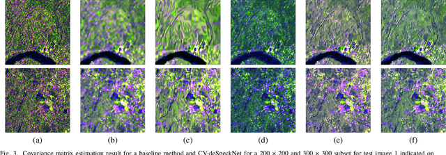Figure 3 for Despeckling Polarimetric SAR Data Using a Multi-Stream Complex-Valued Fully Convolutional Network